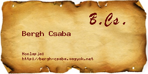 Bergh Csaba névjegykártya